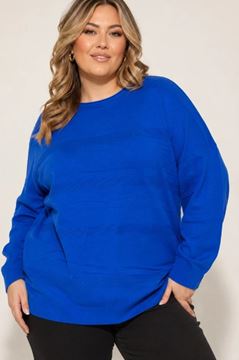 Immagine di PLUS SIZE CREW NECK SWEATER